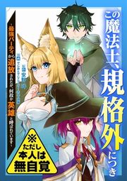 『この魔法士、規格外につき~最強パーティから追放されたが、何故か英雄と呼ばれています~※ただし本人は無自覚』の表紙