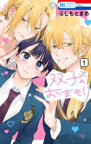 『双子のおまもり』の表紙
