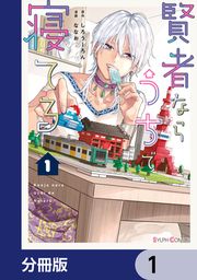 『賢者ならうちで寝てる【分冊版】』の表紙
