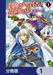 『召喚された賢者は異世界を往く ~最強なのは不要在庫のアイテムでした~【分冊版】』の表紙