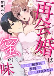 『再会婚は蜜の味~エリート御曹司は契約でも本気で口説きたい』の表紙