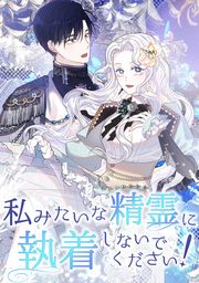 『私みたいな精霊に執着しないでください!』の表紙