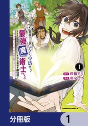 『貴族の三男、でくの坊から最強魔術士へ。パラメーターを調節して、すべての魔術を魔改造!【分冊版】』の表紙