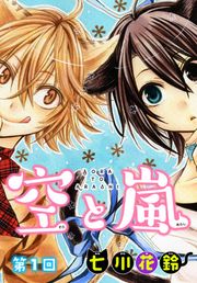 『空と嵐【ばら売り】』の表紙