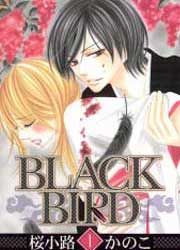 『BLACK BIRD』の表紙