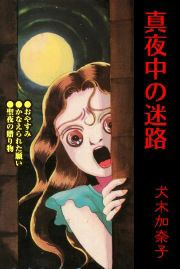 『真夜中の迷路』の表紙