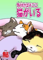 『気付けばそこに猫がいる』の表紙