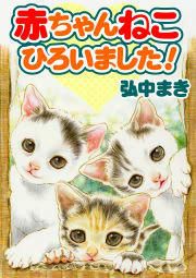 『赤ちゃんねこひろいました!』の表紙