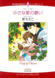 『小さな愛の願い』の表紙
