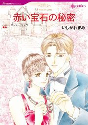 『赤い宝石の秘密』の表紙