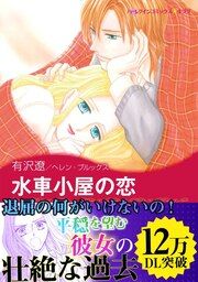 『水車小屋の恋』の表紙