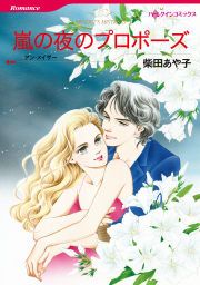 『嵐の夜のプロポーズ』の表紙