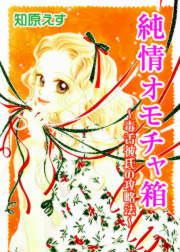 『純情オモチャ箱~毒舌彼氏の攻略法~』の表紙