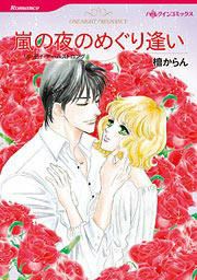 『嵐の夜のめぐり逢い』の表紙