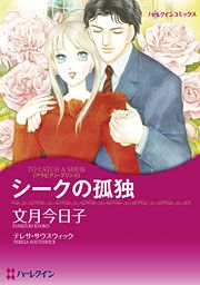 『シークの孤独』の表紙