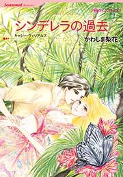 『シンデレラの過去』の表紙