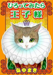 『ひろってみたら王子様』の表紙