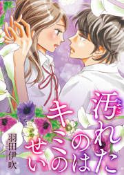 『汚れたのはキミのせい』の表紙
