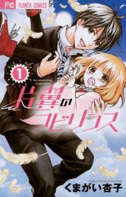 『片翼のラビリンス』の表紙