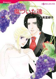 『傷ついた魂』の表紙