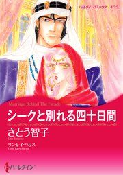 『シークと別れる四十日間』の表紙