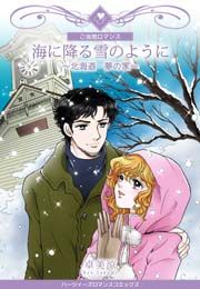『海に降る雪のように~北海道・夢の家~』の表紙