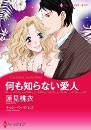 『何も知らない愛人』の表紙