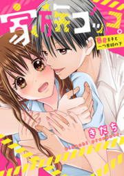 『家族ゴッコ。ー暴君王子と一つ屋根の下ー』の表紙