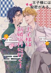 『王子様には秘密がある。』の表紙