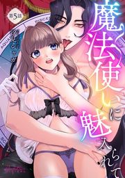 『魔法使いに魅入られて』の表紙