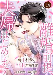 『【バラ売り】comic Berry’s離婚前提、夫婦はじめます〜極上社長ととろ甘新婚生活〜』の表紙