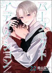 『パーフェクトアディクション(分冊版)』の表紙
