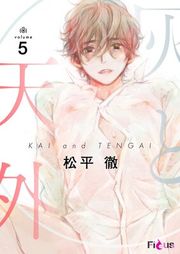 『灰と天外』の表紙