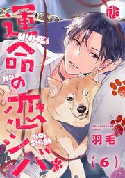 『運命の恋シバ』の表紙