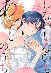 『しないしないもあいのうち』の表紙