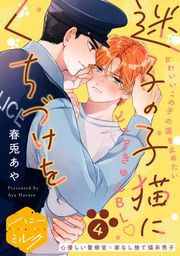 『迷子の子猫にくちづけを 分冊版』の表紙