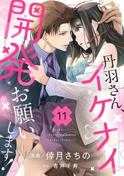 『丹羽さん、イケナイ開発お願いします!』の表紙